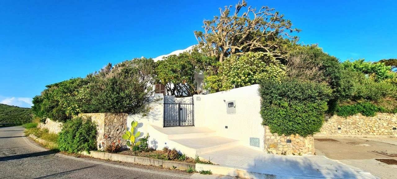 Guest House Villa Il Gabbiano Ponza Ngoại thất bức ảnh
