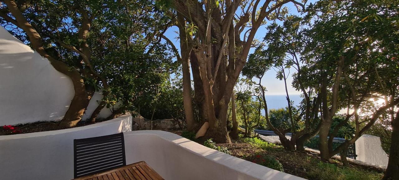 Guest House Villa Il Gabbiano Ponza Ngoại thất bức ảnh